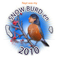 2010_snow_burden.jpg